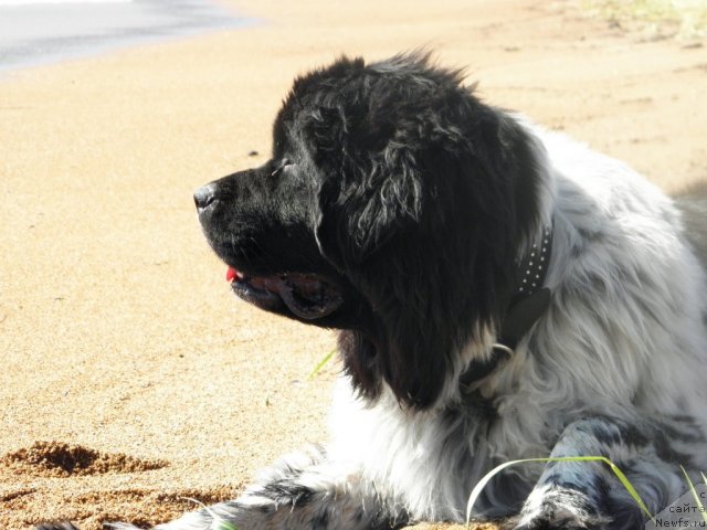 Фотография № 75200