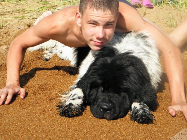 Фотография № 75204