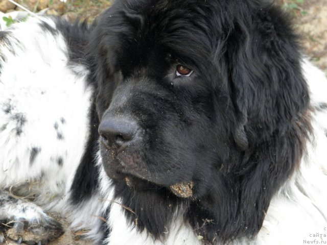 Фотография № 75205