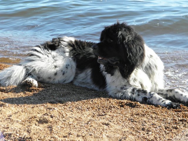 Фотография № 75207