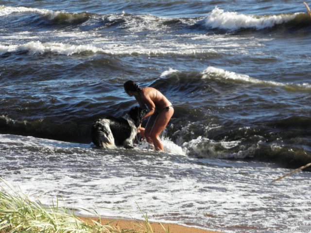 Фотография № 75209