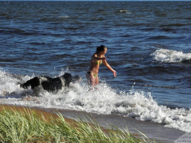 Фотография № 75210