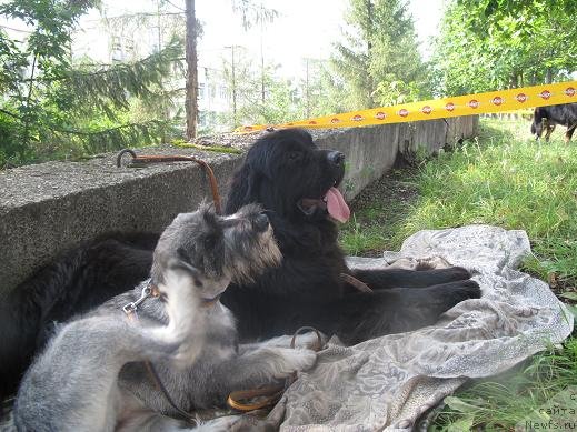 Фотография № 75216