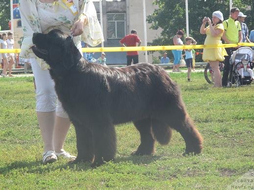 Фотография № 75217