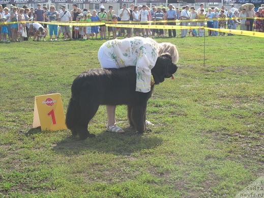 Фото: ньюфаундленд Акватория Келвин Оушен Дрим