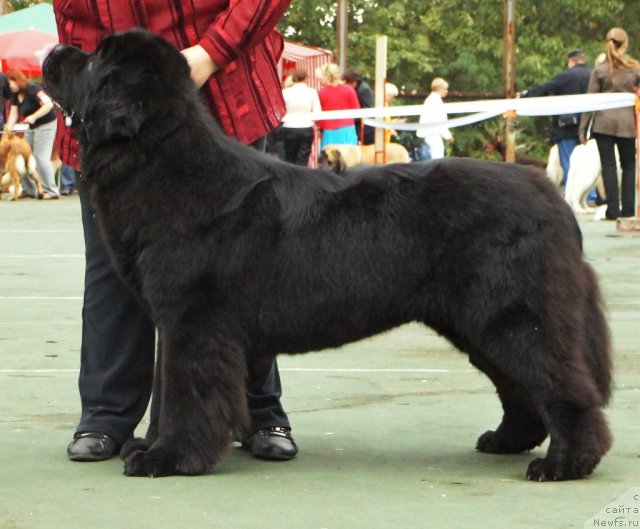 Фотография № 75235