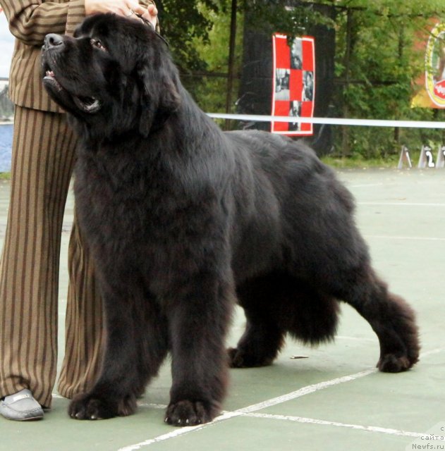 Фотография № 75237