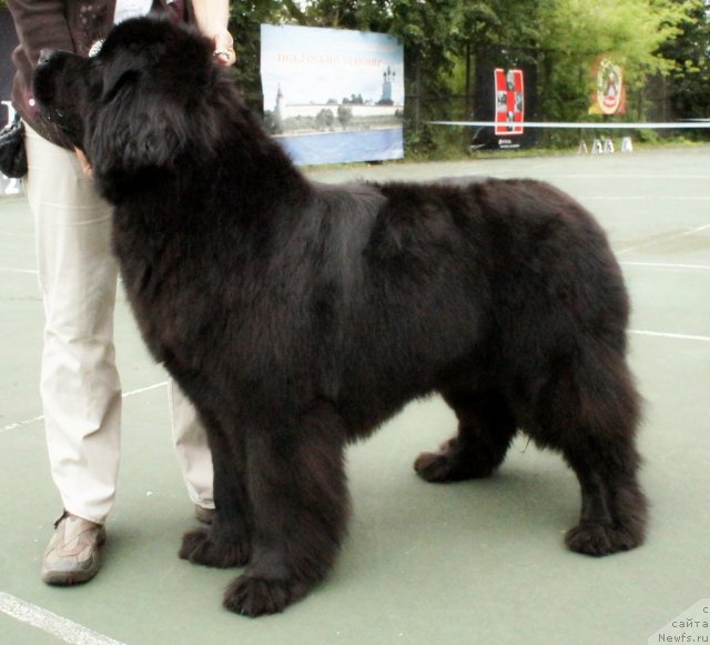 Фотография № 75238