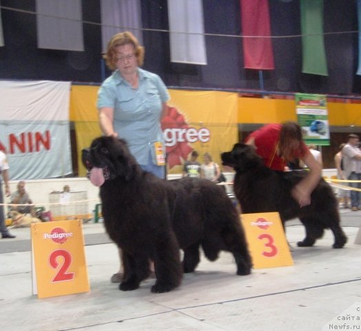 Фотография № 75241