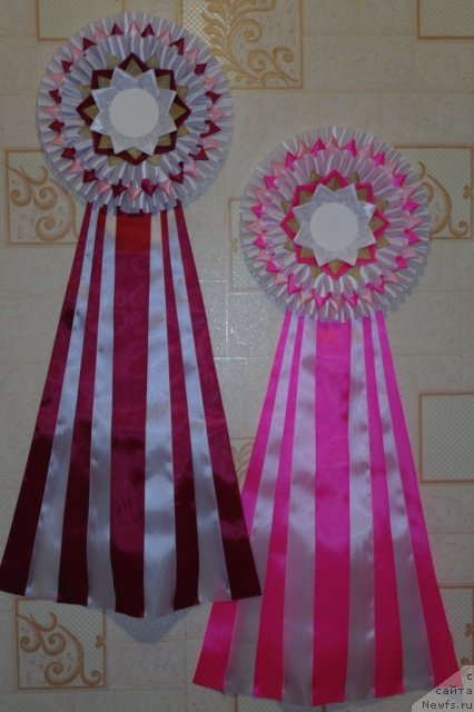 Фотография № 75247