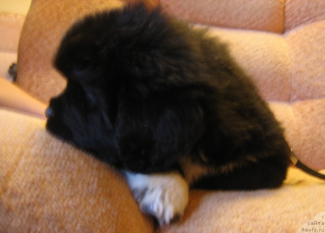 Фотография № 75254