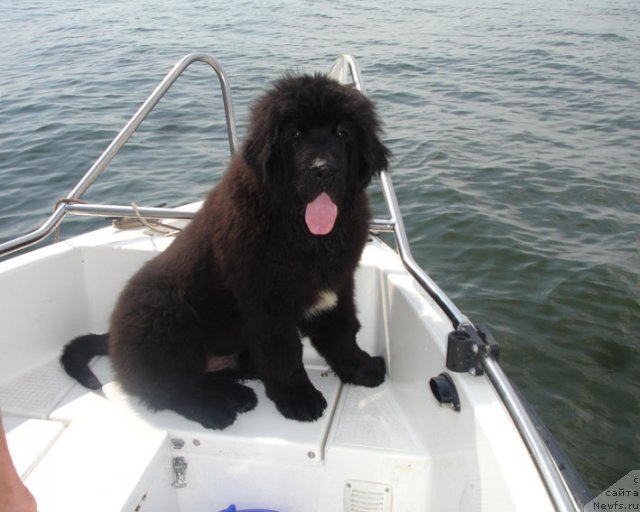 Фотография № 75260