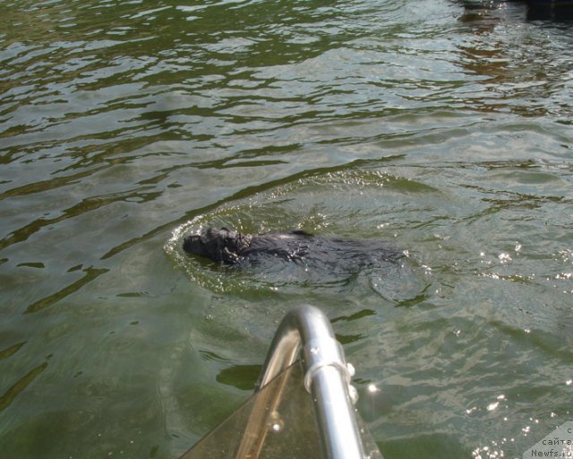 Фотография № 75261