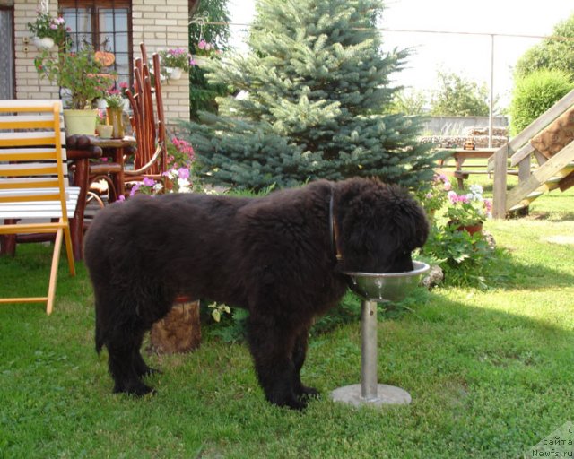 Фотография № 75262