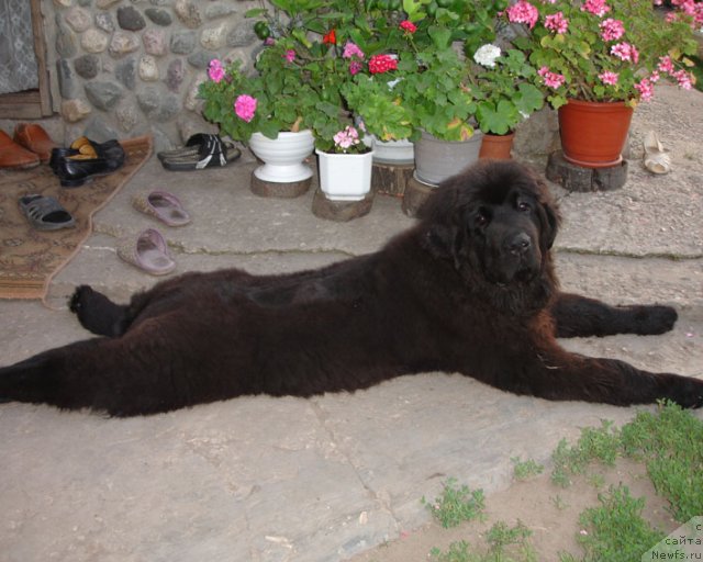 Фотография № 75263