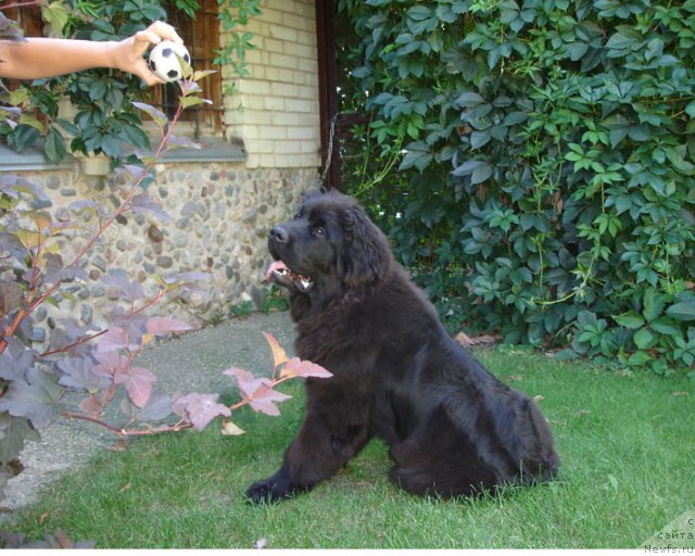 Фотография № 75268