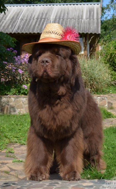 Фотография № 75312