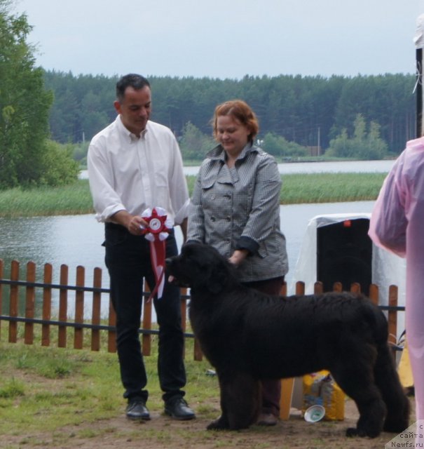 Фото: ньюфаундленд Акватория Келвин Оушен Дрим