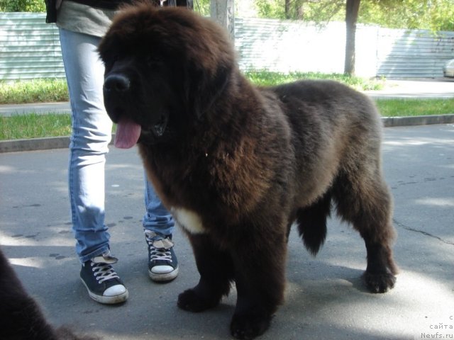 Фотография № 75369