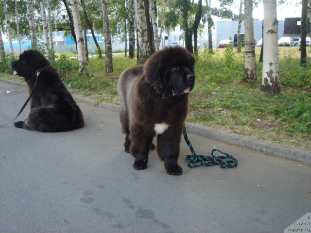 Фотография № 75371