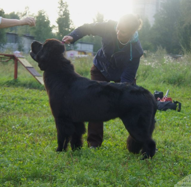 Фотография № 75394