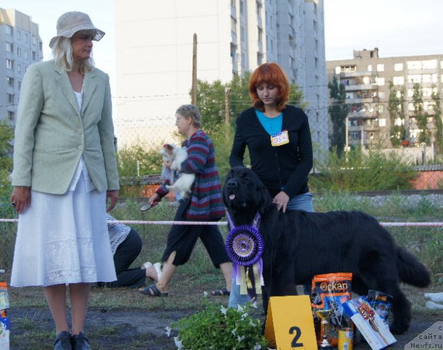 Фотография № 75411