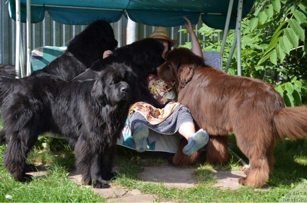 Фотография № 75423