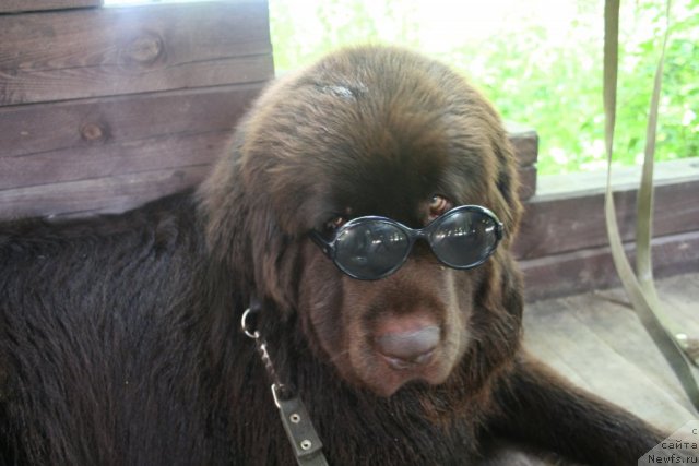 Фотография № 75432