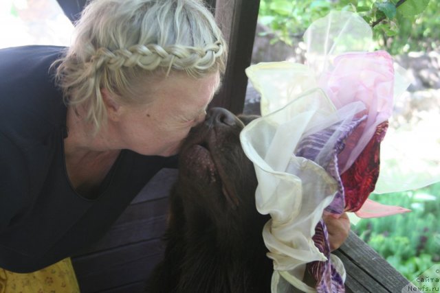 Фото: ньюфаундленд Фанньюф Ура Я с Вами