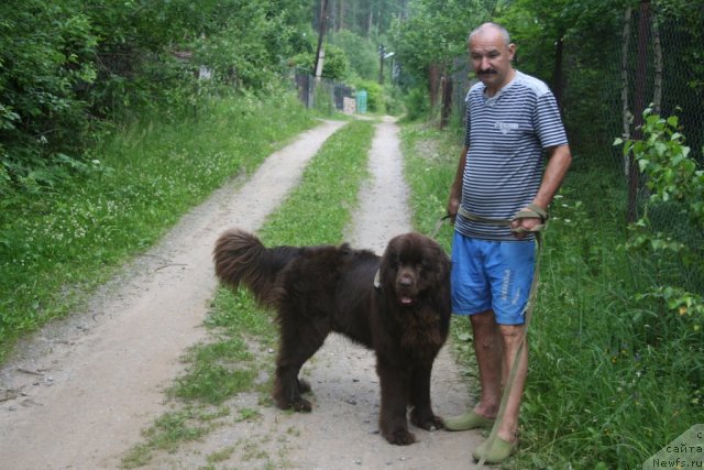 Фотография № 75439