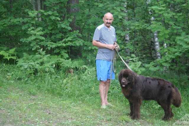 Фотография № 75440