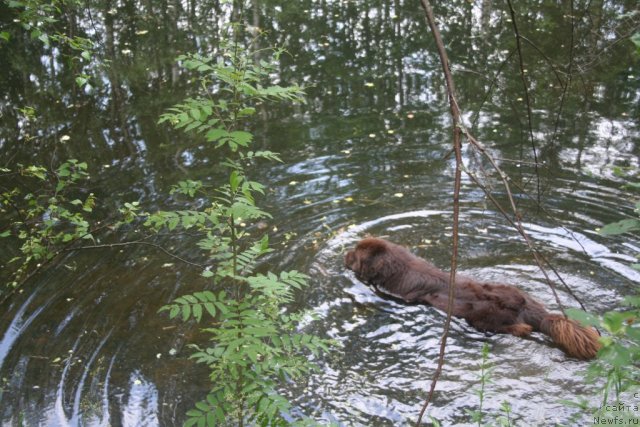 Фотография № 75441