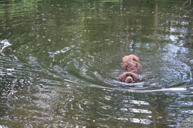 Фотография № 75442