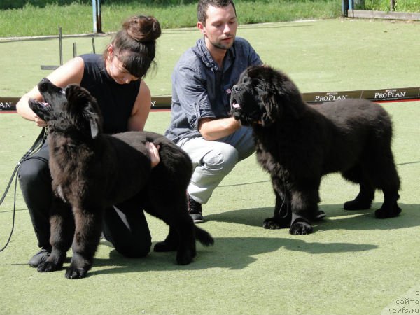 Фото: Бегущая по волнам ЗОДИАК