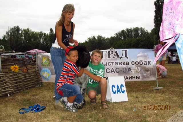 Фото: ньюфаундленд Плюшевая Панда Стиль-Санкт-Петербурга