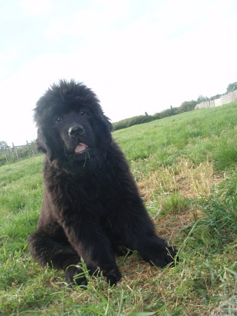 Фотография № 75572