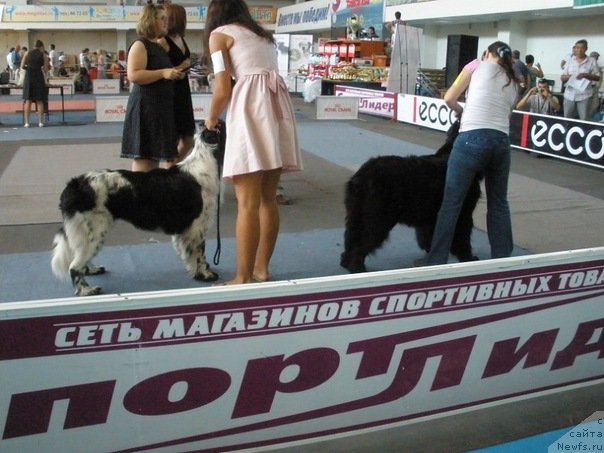 Фотография № 75609