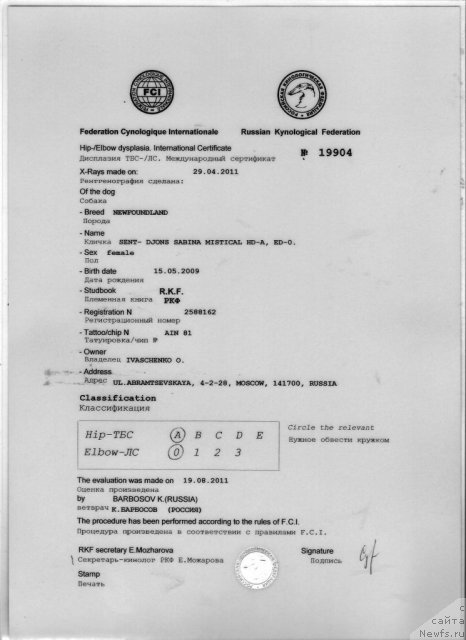 Фотография № 75694