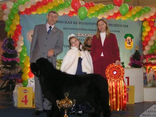 Фото: ньюфаундленд Его Высочество от Сибирского Медведя (Ego Vysochestvo ot Sibirskogo Medvedja), Юрий Рахтиенко