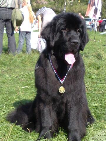 Фотография № 75789