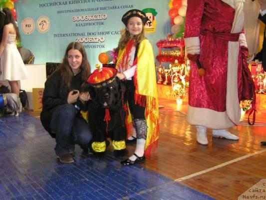 Фото: ньюфаундленд Его Высочество от Сибирского Медведя (Ego Vysochestvo ot Sibirskogo Medvedja)