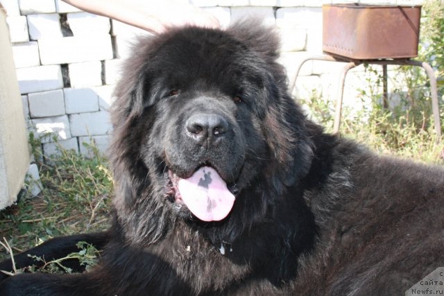 Фотография № 75801