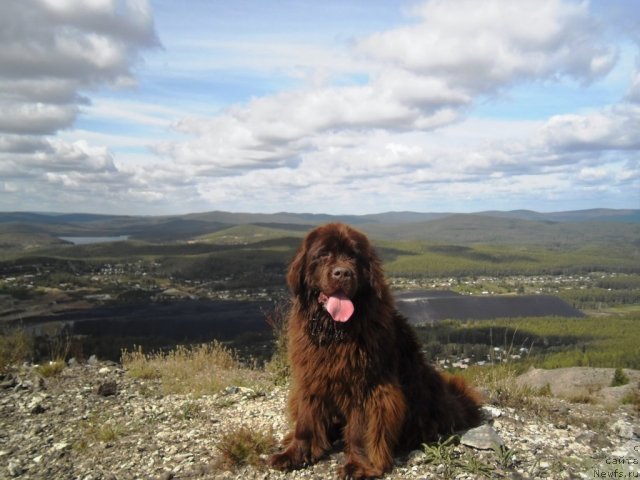 Фотография № 75806