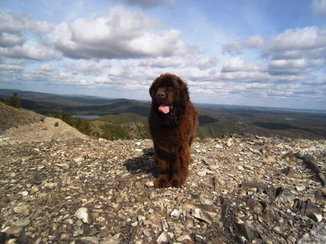 Фотография № 75808