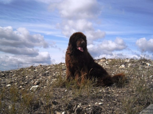 Фотография № 75810