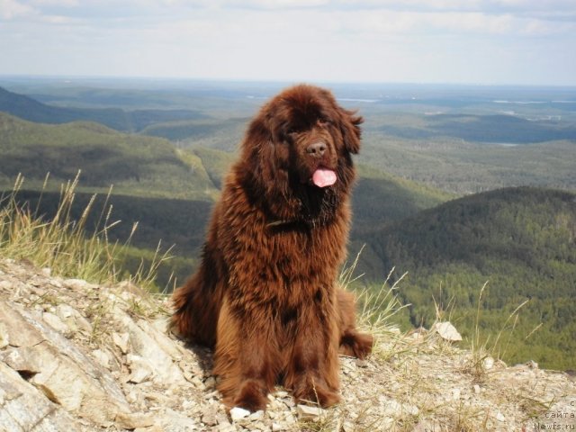 Фотография № 75814