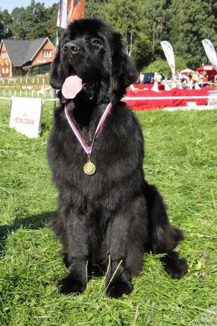 Фотография № 75923