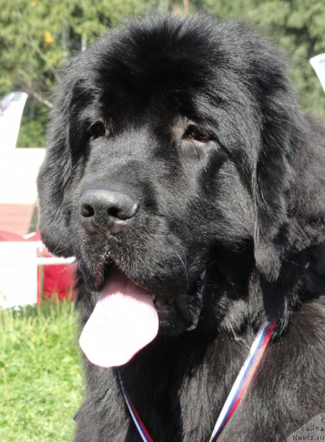 Фотография № 75924