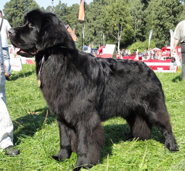 Фотография № 75925