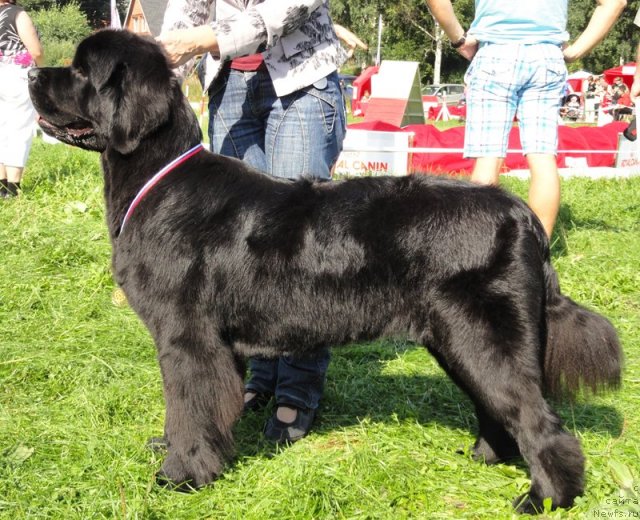 Фотография № 75926